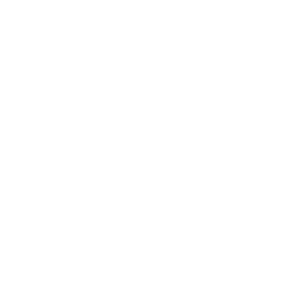 Sport Inspired Logo